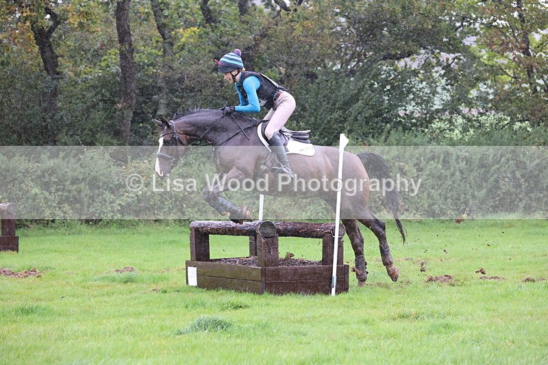 JPP_5429 - Class 4: 80cm: Crossed Logs