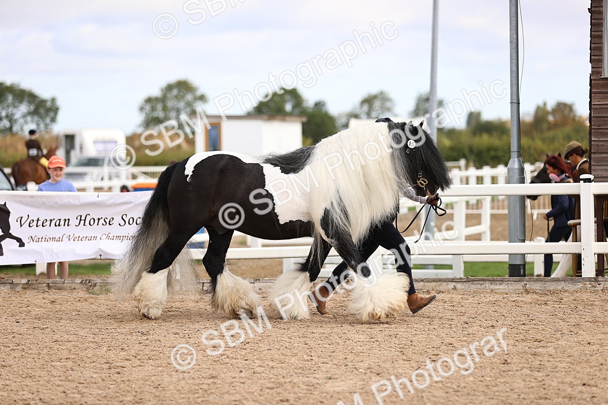 SBM_09282 - Class 404 - IH Traditional - Native Cob