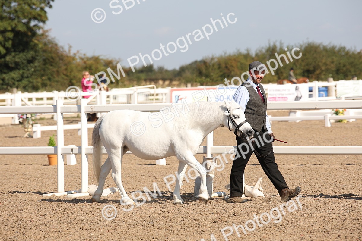 SBM_02662 - Class 16 IH M&M Wildcard