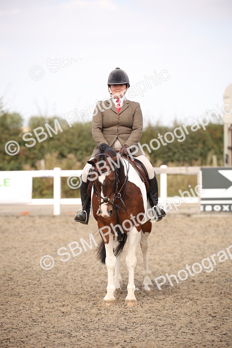 SBM_15065 - Class 408a - Working Veteran 70cm (15-19