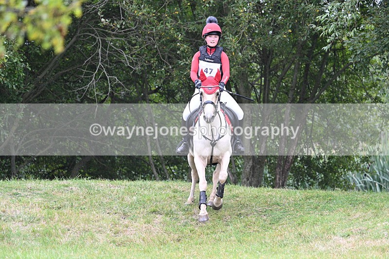 WJ7_8372 - 80cm XC Time 15:45 to 16:02