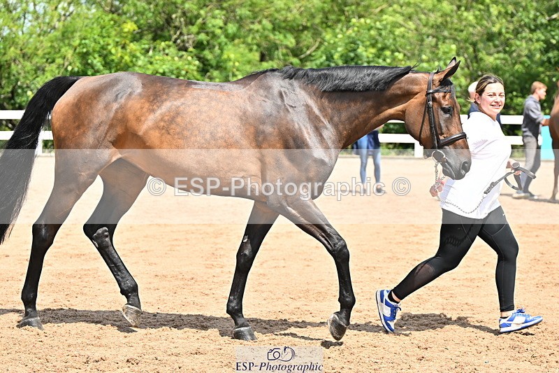 240718A-105242-01039 - Trot Up 11am to 12pm