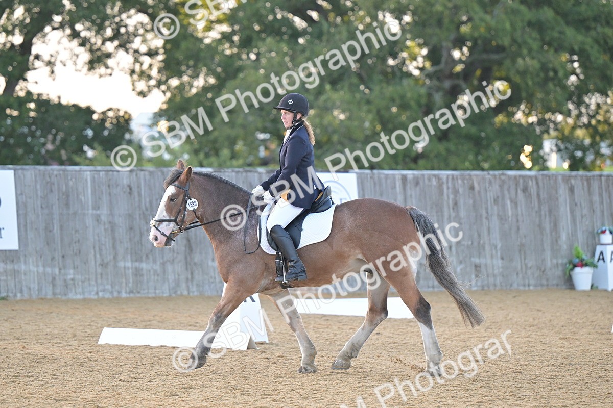 SBM_13545 - D3 - Small Tour Championship Intro 3