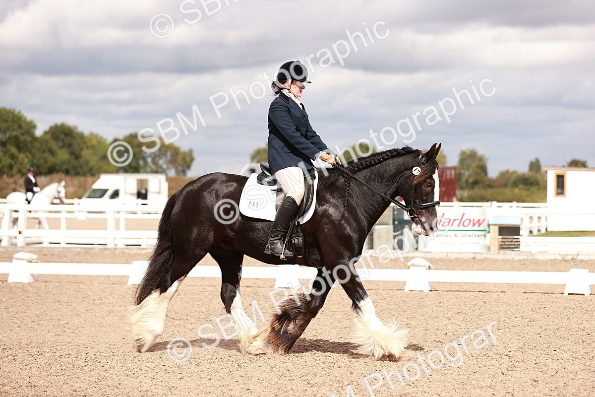 SBM_06193 - Class 37 - Novice 5