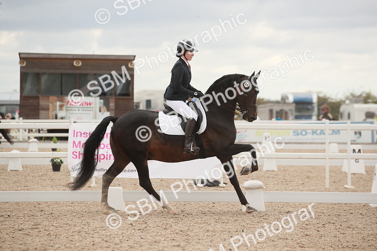 SBM_06142 - Class 33 - Elementary 1