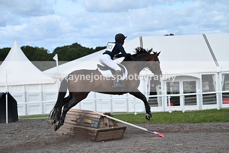 WJ7_0136 - Time 11:02 to 11:34