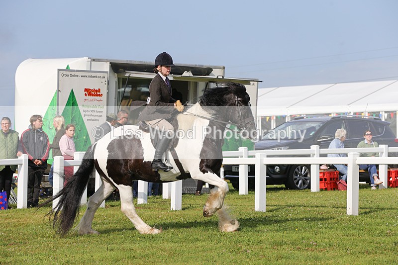 1X9A3125 - Class 27:  Ridden Native/Trad Coloured Horse