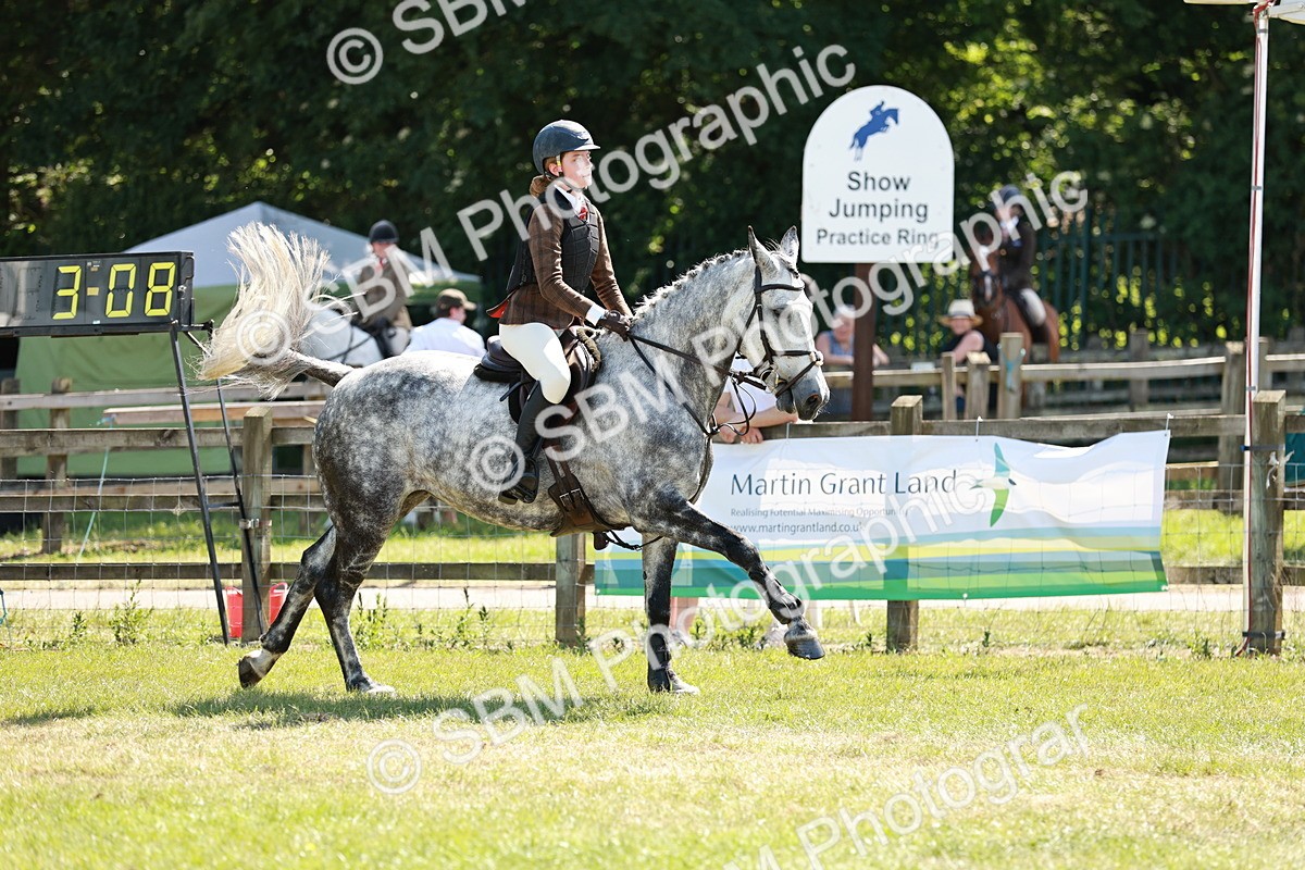 SBM_18382 - Class 112-113 - BSPS LIHS Working Sports Pony