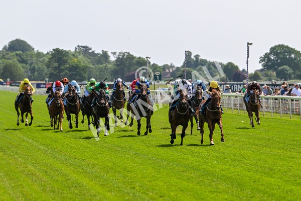 130625-Race 2-Carnation Queen-8608 - Race 2 2.25pm Coopers Marquees Rous Selling Stakes