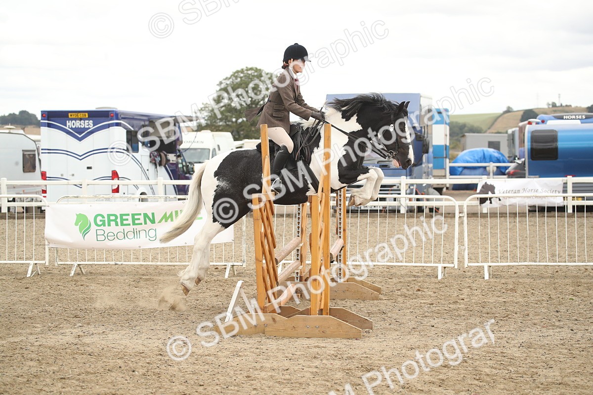 SBM_17630 - Class 508a - Working Veteran 70cm (15-19)