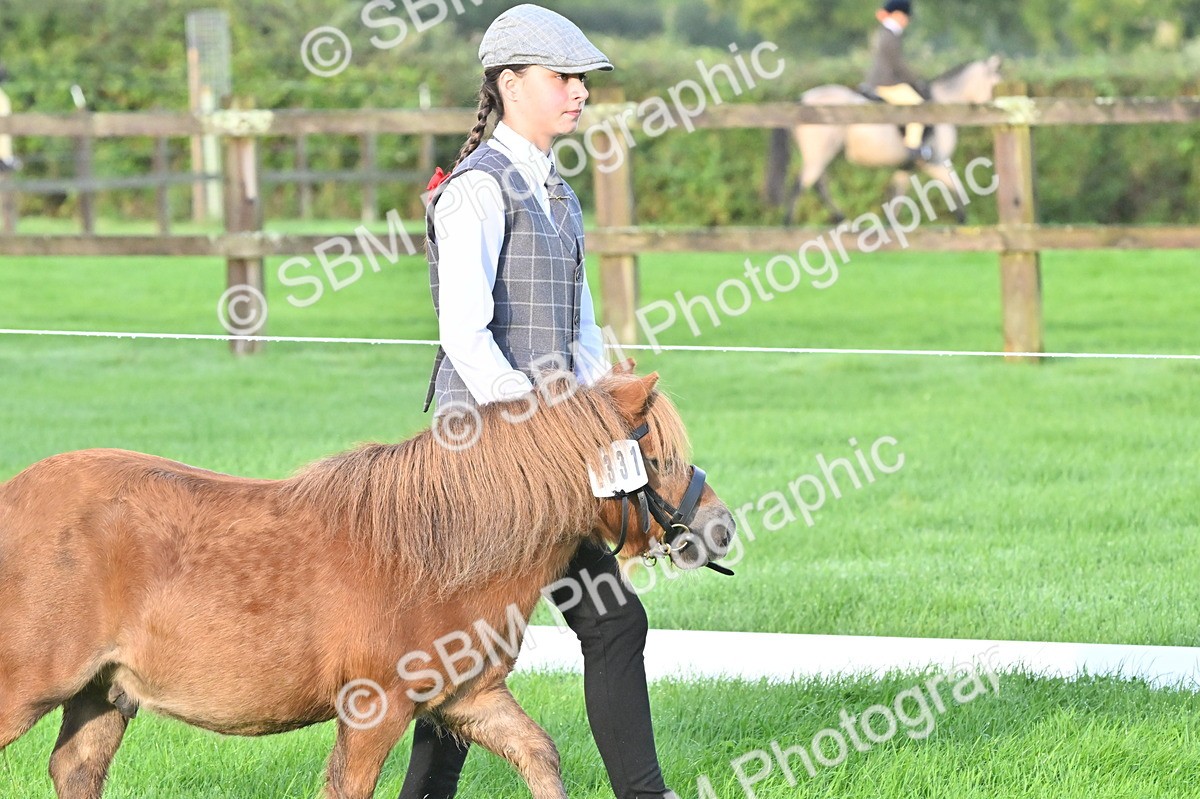 SBM_32565 - S15 - Top Turnout In Hand