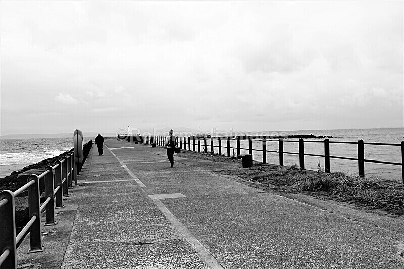 DSC07942 - SEPT 2020 STAYCATION