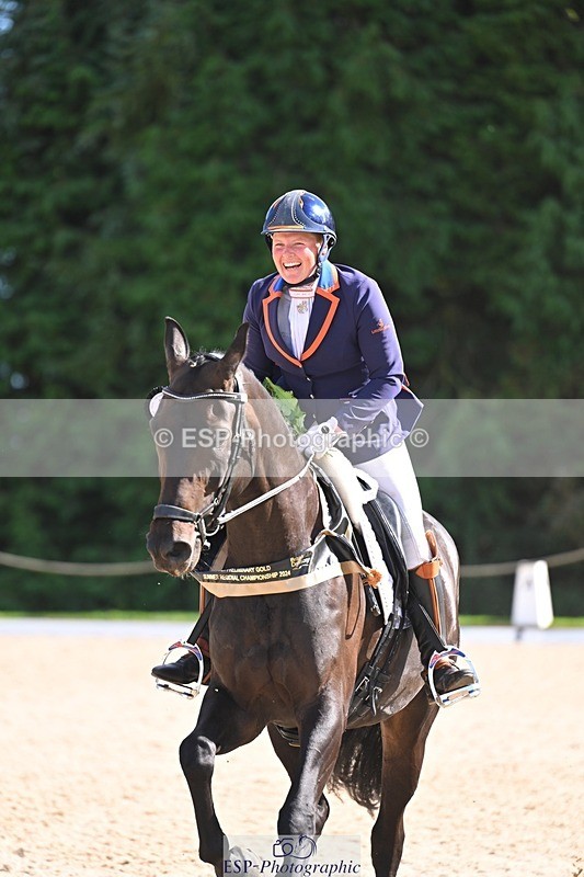 240809-162556-02382 - Preliminary Gold