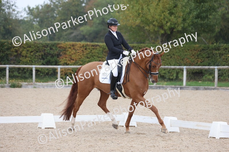 20251012-0908 - Class 10 - Advanced Medium 4