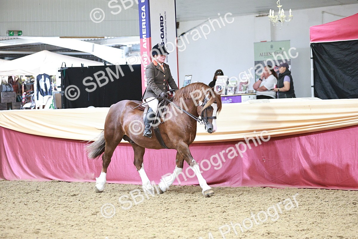 SBM_08634 - Regional Ridden Champ