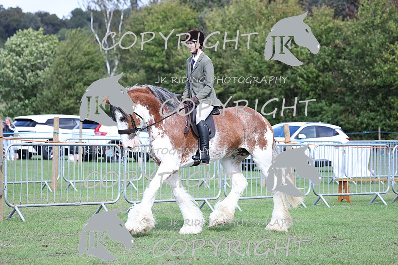 APP_3665 - Class 8 Ridden Class