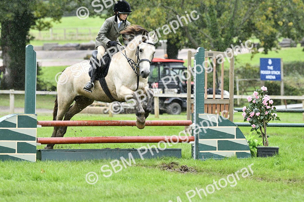 SBM_42308 - S32 - Mountain & Moorland Working Hunter Pony