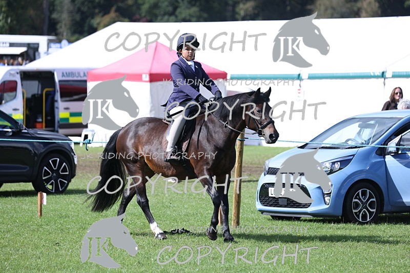 APP_3521 - Class 12 M&M ridden