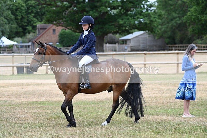 WJ7_0457 - Class 2 Best rider