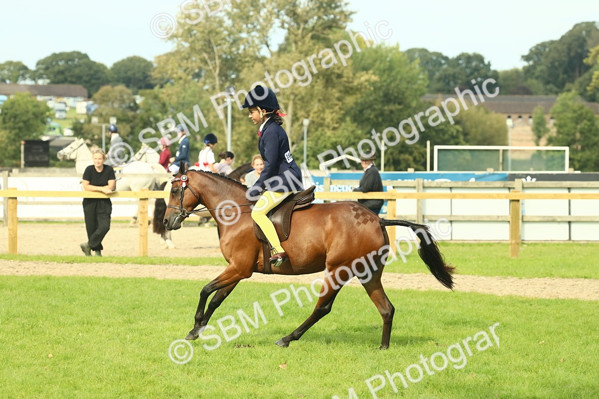 SBM_68099 - S57 - Part Bred Pony Ridden
