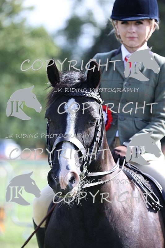 APP_3714 - Class 12 M&M ridden