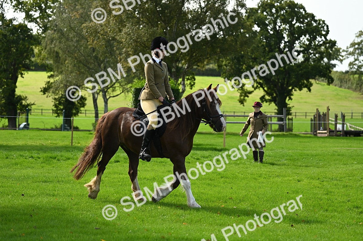 SBM_02691 - S3 - TSR Ridden Pony Showing