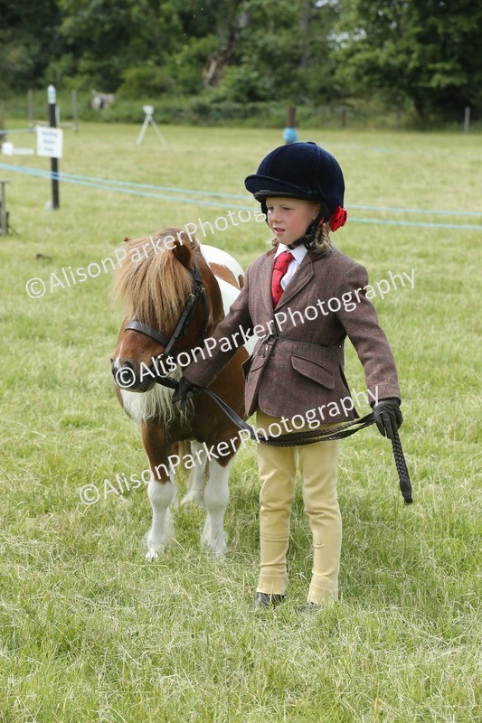 20260614-4266 - Class 18 - Best Junior Handler