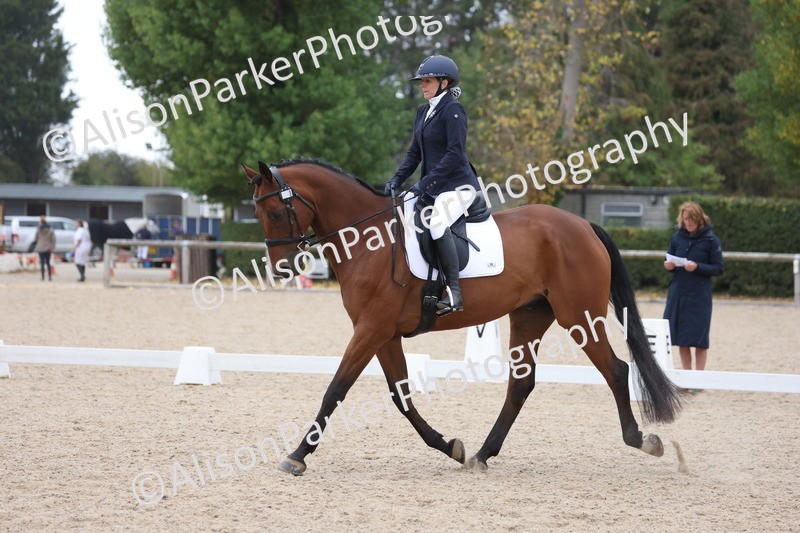 20250820-0373 - Class 11 - My Quest Novice 3