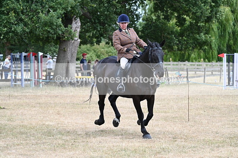 WJ7_1333 - Class 8 Ridden Veterans