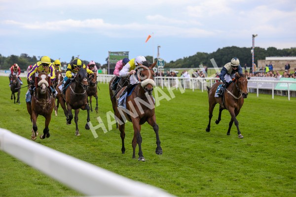 140624-Race 5-Invisible Friend-5757 - Race 6 4.45pm Irish Thoroughbred Marketing Handicap