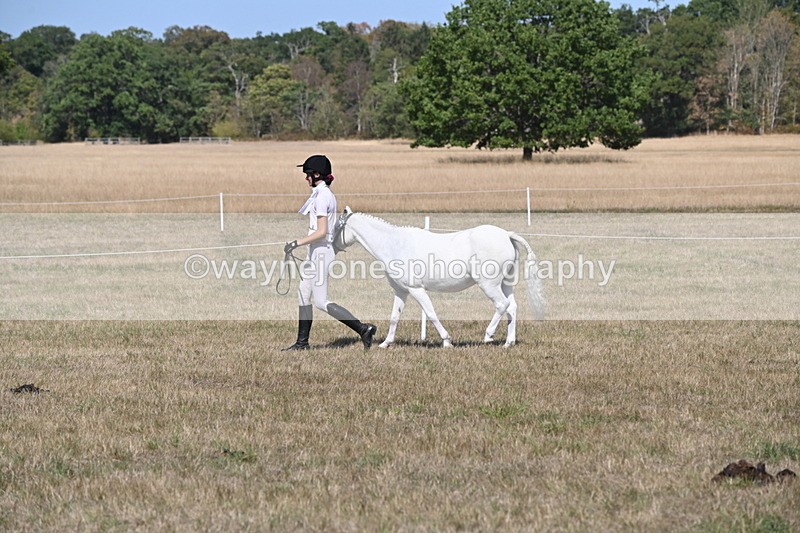 WJ6_9424 - Class 40 Cheekiest Pony/Horse