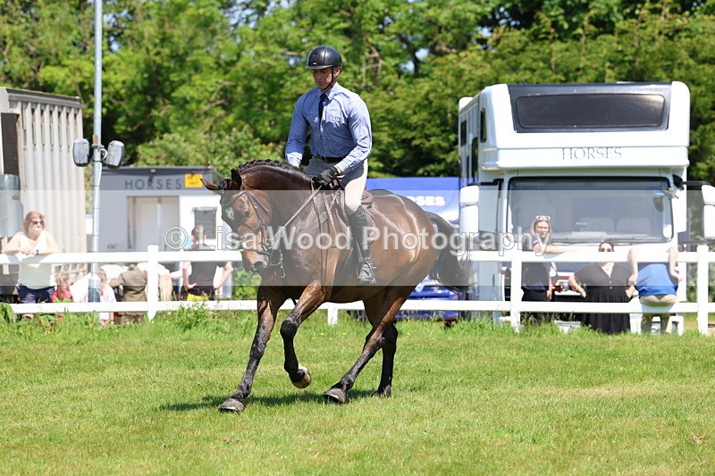 3E7A7214 - Class 30: Novice Working Hunter