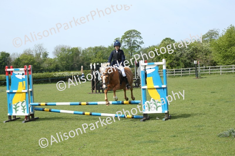 20260426-1742 - Class 14 - Novice 60cm