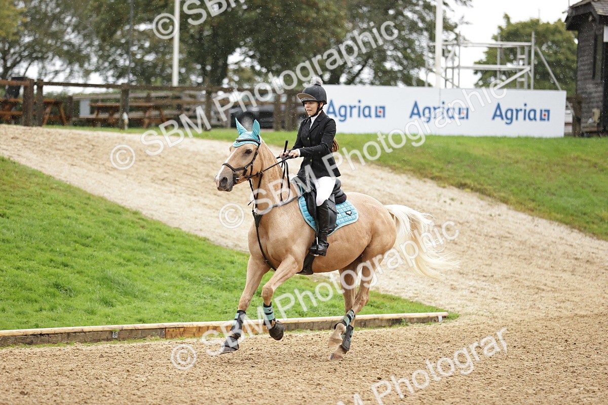 SBM_35849 - J38 - Senior Horse & Pony 80cm Championship