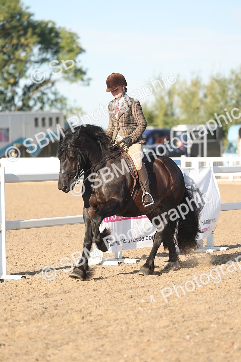 SBM_11034 - Class 302 - Ridden M&M Large Breeds