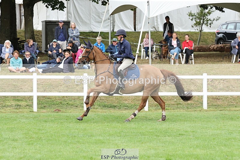 250830A-105319-05115 - Cls 14 HOYS Grade C Quali