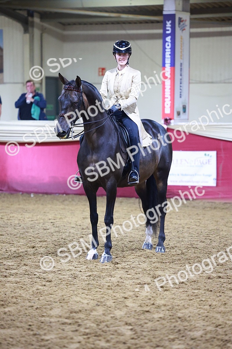 SBM_14719 - Class J - Foreign Breeds Champ