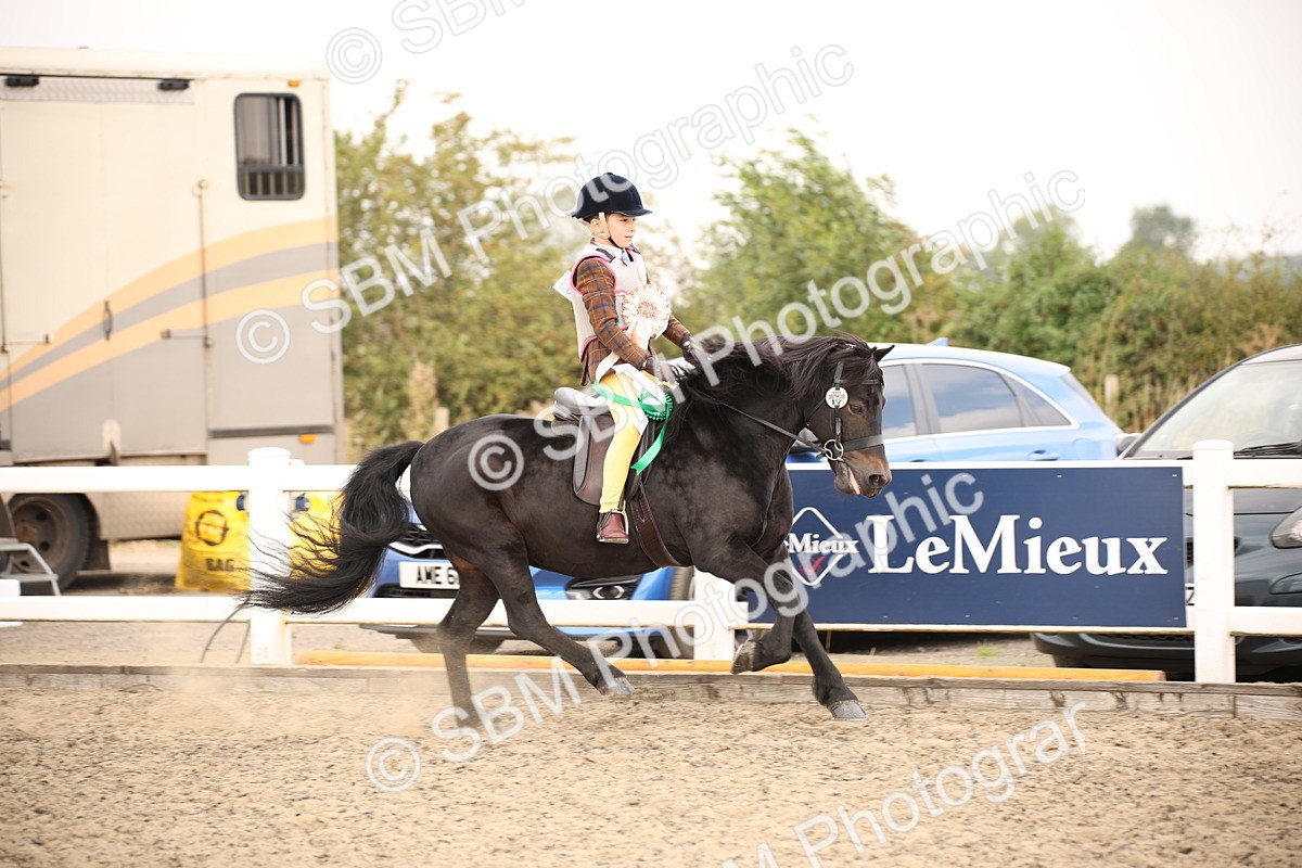 SBM_11741 - Class 404a Junior Working Veteran- 40cm (15-19)