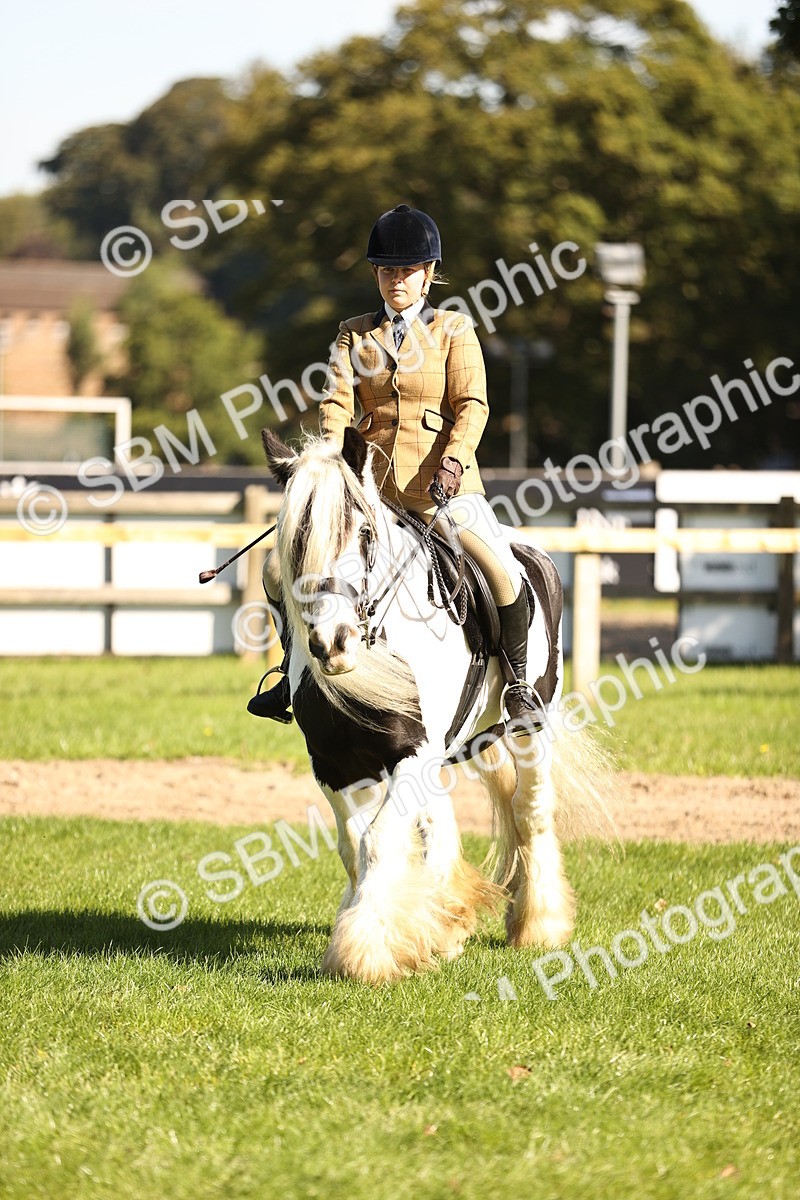 SBM_19145 - S3 - TSR Ridden Pony Showing