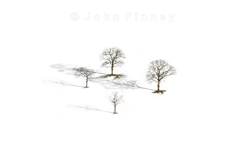 Four Trees - Peak District & surrounding area