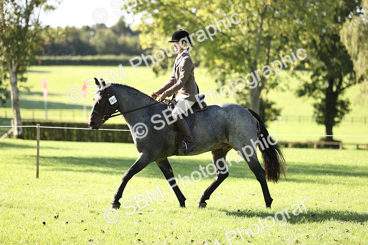SBM_16913 - S2 - TSR Ridden Pony Showing