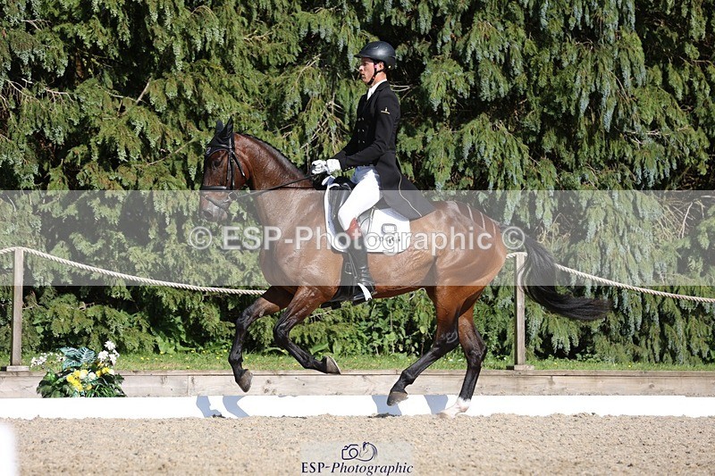 230526-171414-07931 - 176-TENZ-Will_Rawlin-WEDTrotUp+DR