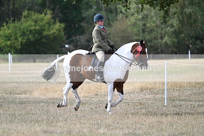 WJ7_7729 - Ridden Championship