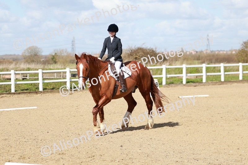 20260314-2920 - DR3 - Prelim 1