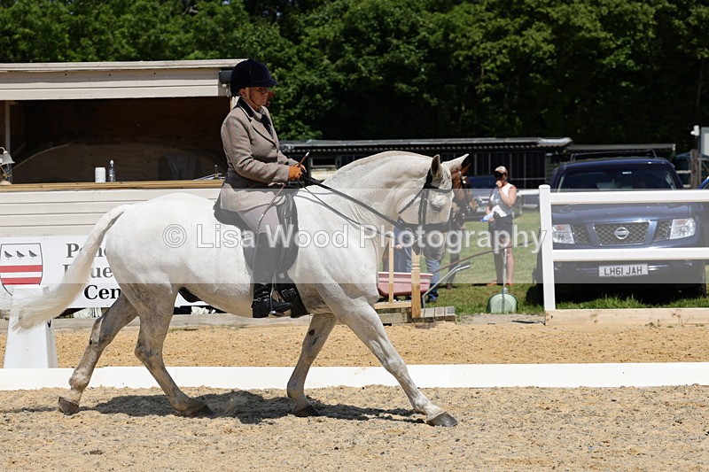 1X9A1709 - Class 11: Ridden Cob