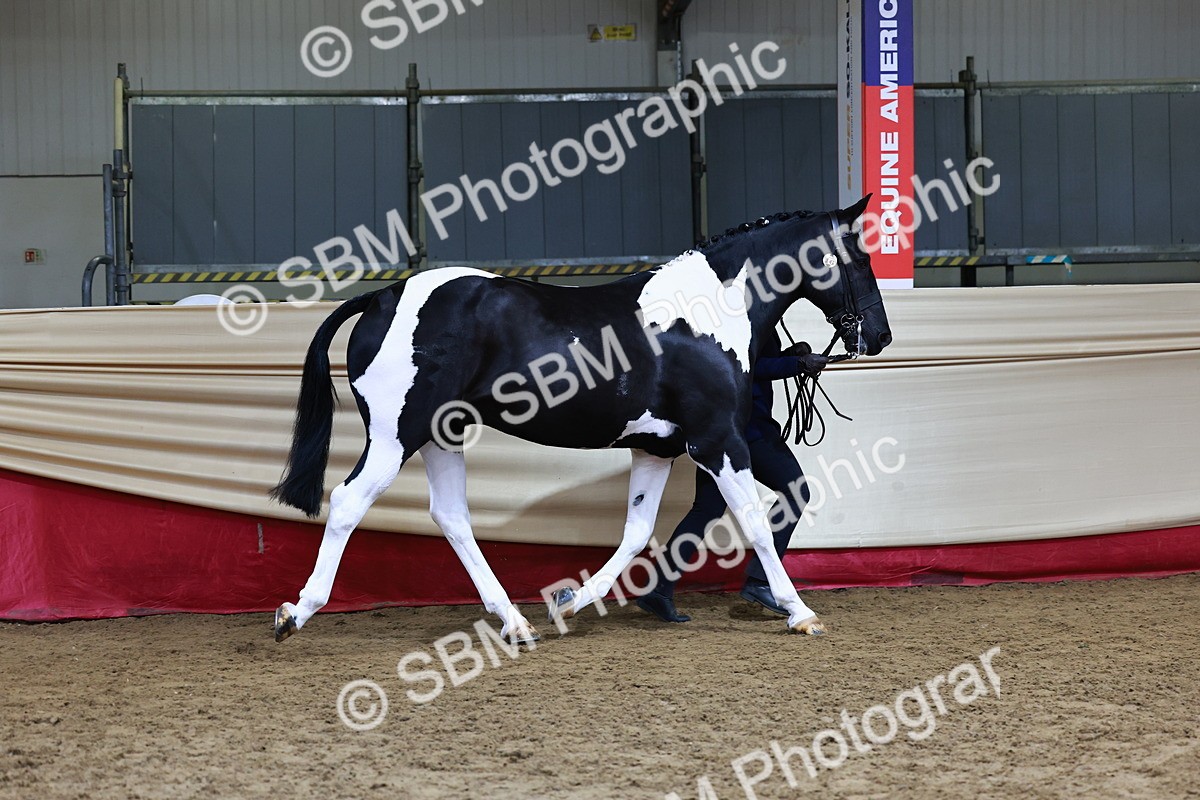 SBM_23037 - Supreme Final - IH  Champ