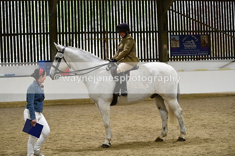 WJ5_9027 - Class 15 Ridden Show Horse