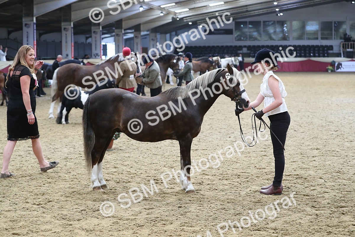 SBM_15318 - Class 501 M&M IH Supreme Final