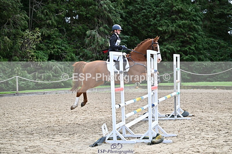 251005A-133933-04122 - Cls 09 Nov 80-85cm