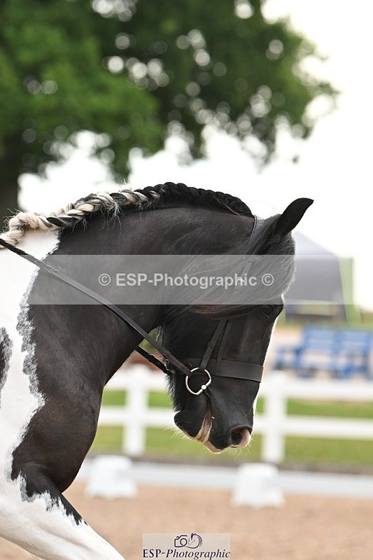 250620-083818-02239 - BD Cls 1 - Preliminary 5, Start to 9.20am